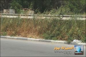 قناة الري بالمنيزلة  ” بيئة ” لتربية القوارض .. سببها الأهمال