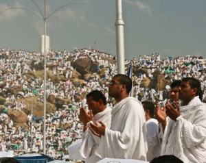 وفود الحجاج الى بيت الله وصعيد عرفات الجمعة المقبل .