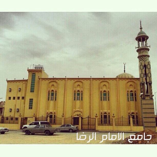 بالصور… أطنان من”المخلفات”و “حيوانات نافقة” أمام”السعودية الثانوية”