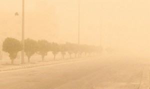 عاجل : الآن موجة غبار شديدة بالأحساء