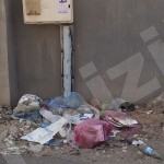 عضوا مجلس إدارة المنيزلة نيوز يعودان من السفر