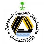 عصر غدٍ الخميس افتتاح فعاليات (بسمة طفل ) في مهرجان الزواج الجماعي بالمنيزلة