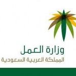 وزارة النقل تعلن عن #وظائف على بند الأجور
