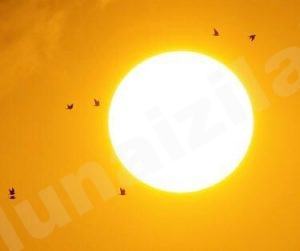 الزعاق: صيام رمضان اكثر من ١٤ ساعة .. وأشد المناطق حرارةً الخرج والأحساء