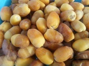 بالڤيديو : الآن بالأحساء صندوق ( الرطب ) ب 350 ريال