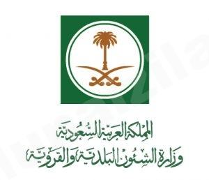 فرض رسوم على إزالة النفايات وربطها بفاتورة الكهرباء