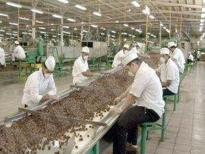 وظائف مؤقتة بمصنع تعبئة التمور بالأحساء