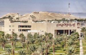 الأحساء: سوق حراج جديد بمساحة 300 ألف متر