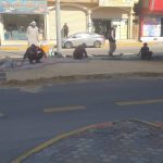 “أم النخيل” شاهد مالا تتوقع مشاهدته عن الأحساء في 120 ثانية