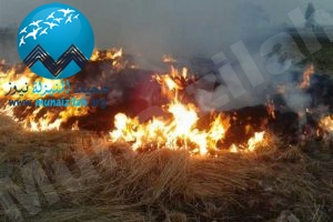 «الأرصاد»: 7 أنواع من النفايات يُحظر حرقها