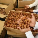 بأمر ملكي: السماح بفتح المطاف للطائفين من غير المعتمرين فجر اليوم السبت