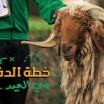 #الصحة تسجل 1759 إصابة بفيروس “كورونا” من بينها 211 إصابة في الأحساء