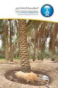 «المؤسسة العامة للري» تطلق بوابة الخدمات الإلكترونية #منصة_ري للمزارعين