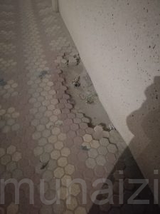 رصيف «مقبرة المنيزلة» الشمالية بحاجة للاستكمال