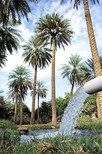 الربيع يدخل أرصاديًّا الأول من مارس
