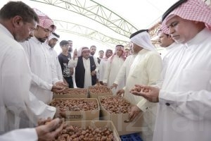 انطلاق مزاد موسم صرام تمور الأحساء 2020.. السبت