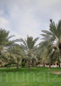 تعرف على طقس المنيزلة ..هذا اليوم