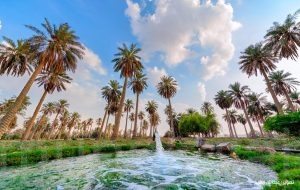 طقس المنيزلة: سماء صافية ودرجات حرارة معتدلة