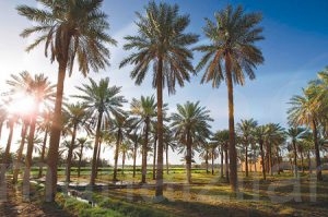 غائم جزئيا ..تعرف على طقس المنيزلة هذا اليوم
