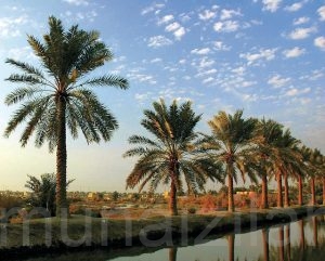 طقس الثلاثاء.. أمطار رعدية ورياح مثيرة للأتربة على عدة مناطق بالمملكة