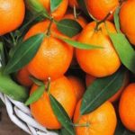 استشاري أمراض معدية يطالب بانتظام الدراسة والاختبارات حضوريًّا ويشرح الأسباب