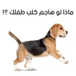 نداء لمرتادي حديقة الوجاج بالمحافظة على دورات المياه التابعة لها