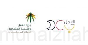 برنامج (العمل عن بعد) يوفر وظائف للرجال والنساء بنظام العمل (عن بُعد)