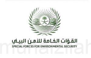 الأمن البيئي.. يحدد عقوبة إشعال النار في الغابات والمتنزهات الوطنية
