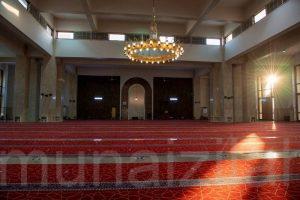 سجاد مقاوم للبكتيريا في قرن المنازل