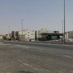 أهالي المنيزلة يستقبلون العلامة السيد محمد رضا السلمان