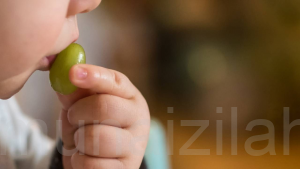كارثة تسبب الوفاة.. طبيب يحذر من تناول الأطفال للعنب والمكسرات بهذه الطريقة