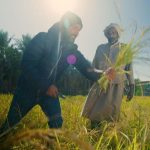 تقويم التعليم توضح خطوات استعلام نتائج الرخصة المهنية