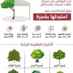 «عش بصحة» تكشف أهمية مقاعد الأطفال أثناء القيادة