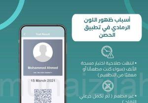 توضيح من توكلنا بشأن أسباب ظهور اللون الرمادي في التطبيق