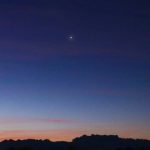 توضيح من توكلنا بشأن أسباب ظهور اللون الرمادي في التطبيق