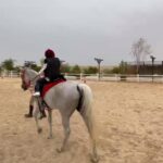 الحصيني: أجواء حارة نهارًا وأمطار متفاوتة على عدة مناطق اليوم وغدًا