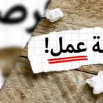 الأرصاد: الإحساء الأعلى حرارة بـ43 مئوية.. والقريات وطريف الأدنى