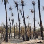 السالمية بالـ”4″ يتأهل للنصف النهائي