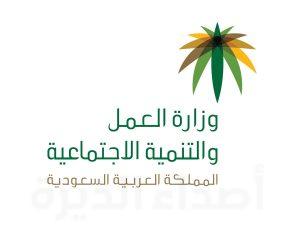 3 شروط للإعفاءات من دفع رسوم رخصة العمل