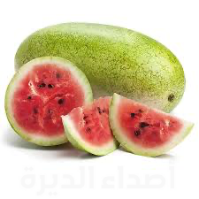 حشرة غريبة تُصيب ثمار ”الجح“ لأول مرة في المملكة