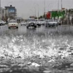 حظر الأظافر والرموش الصناعية بالمطاعم ومتاجر الأغذية