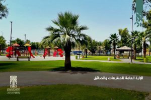 أمانة ‎الأحساء تنتهي من غسيل 241 مسجدًا ومصلى عيد.. وتهيئ المتنزهات والحدائق