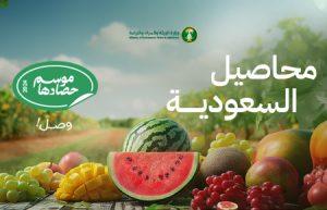 “البيئة”: 285 جرامًا من البطيخ يحتوي على 262 جرامًا من الماء و86 سعرة حرارية