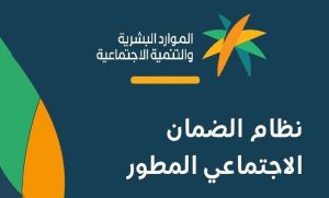 وزارة الموارد البشرية تحدد 4 إجراءات لتقييم استحقاق معاش الضمان الاجتماعي
