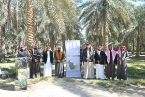 “بيئة الأحساء” تدشن زراعة أشجار العود والصندل في المحافظة