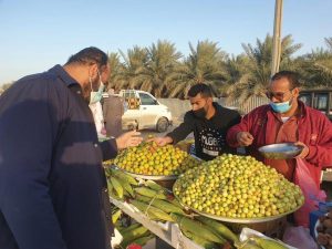 فاكهة الشتاء في الأحساء