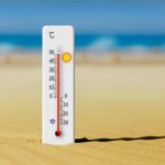 الأخضر يدشّن استعداداته في سان دييغو لمواجهة هايتي في افتتاح مشواره بكأس الذهبية 2025
