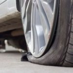 إنجاز بيئي.. زراعة 31 مليون شجرة في الشرقية