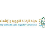 إنجاز نوعي للجامعة السعودية الإلكترونية في تصنيف “التايمز”