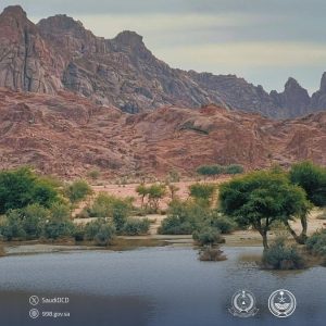 “الدفاع المدني يحذّر: ابتعدوا عن الأودية وتجمعات المياه أثناء الأمطار”